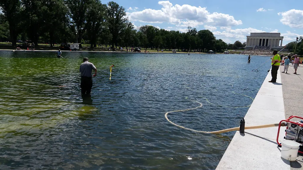 Festnahme und Vorwürfe nach Trumps Sanierung des Lincoln Memorial Reflecting Pool