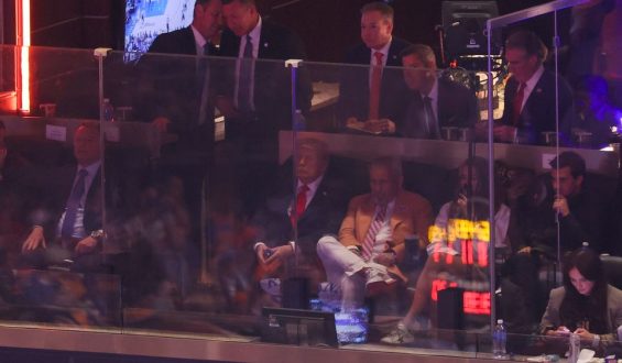 Donald Trump und die New York Knicks im Madison Square Garden