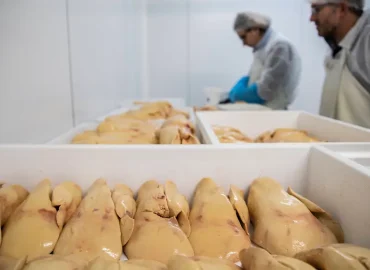 China und Frankreich im Wettkampf um den Foie Gras-Markt