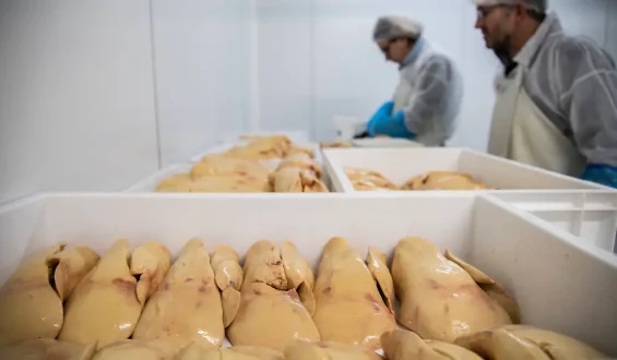 China und Frankreich im Wettkampf um den Foie Gras-Markt