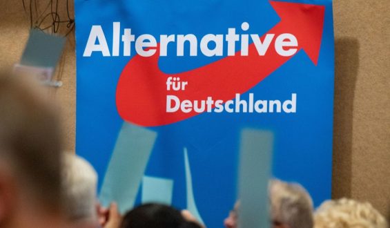 Machtkampf in der bayerischen AfD: Protschka gegen Mixl