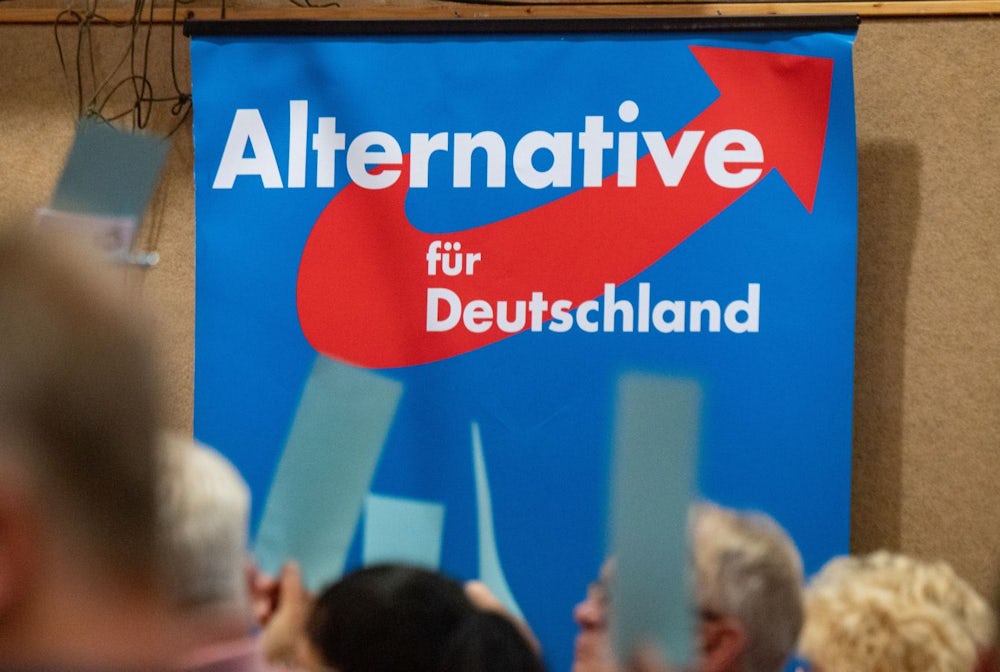 Machtkampf in der bayerischen AfD: Protschka gegen Mixl