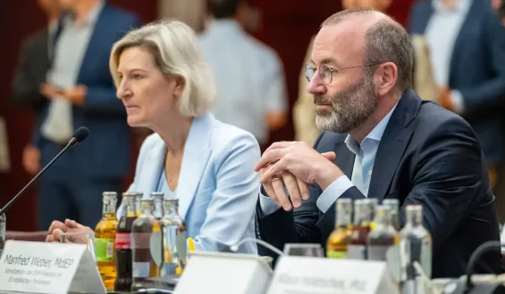 Nebeneinkünfte von EU-Abgeordneten: Deutsche Politiker im Fokus