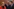 Sozialpolitische Herausforderungen und Diskussionen in der Regierung