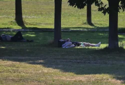 Hitzegewohnheiten: Eine Herausforderung für den Körper