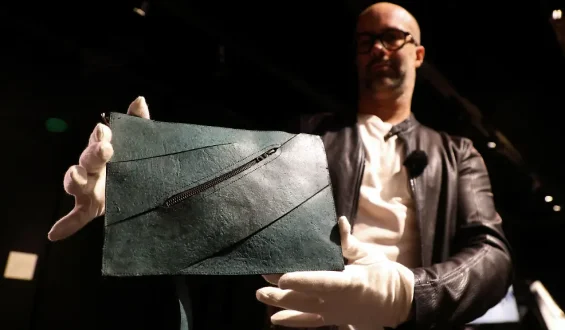 Handtasche aus Nachgebildeter Dinosaurierhaut Findet Keinen Käufer