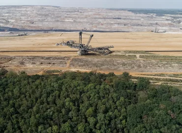 Hambacher Wald wird Wildnisgebiet