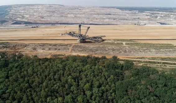 Hambacher Wald wird Wildnisgebiet