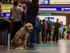 Störung im Zugverkehr bei der Deutschen Bahn