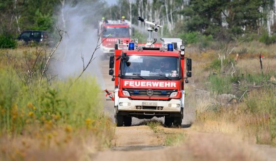 Feuerwehren kämpfen gegen Waldbrände in Deutschland