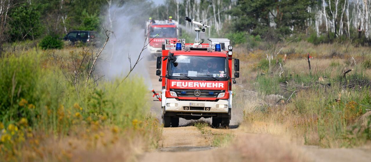 Feuerwehren kämpfen gegen Waldbrände in Deutschland