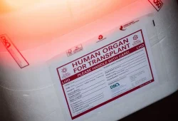 Spendenzahl für Organspenden steigt in Deutschland