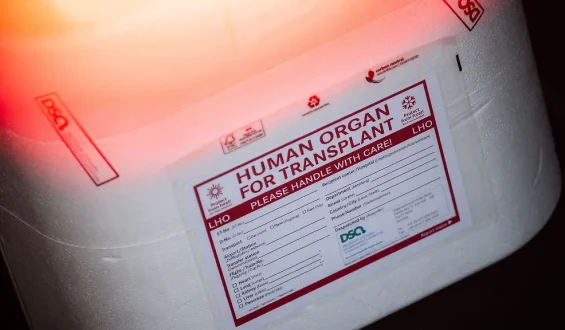 Spendenzahl für Organspenden steigt in Deutschland