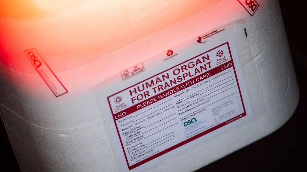 Spendenzahl für Organspenden steigt in Deutschland