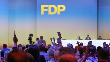 FDP gewinnt nach Führungswechsel neue Mitglieder