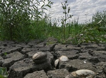 Folgen der Sprengung des Kachowka-Staudamms in der Ukraine