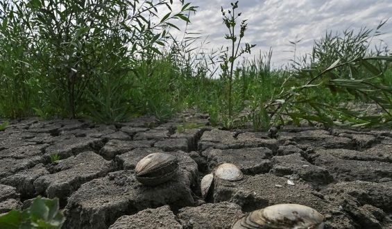 Folgen der Sprengung des Kachowka-Staudamms in der Ukraine