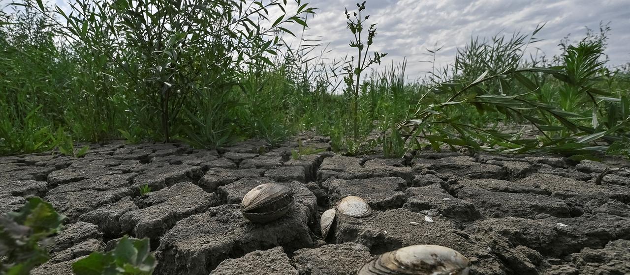Folgen der Sprengung des Kachowka-Staudamms in der Ukraine