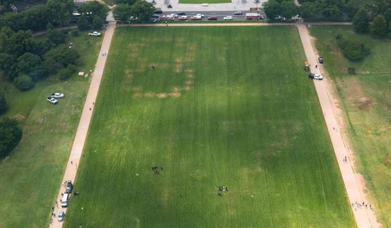 Großer Anti-Trump-Slogan auf National Mall: Polizeiermittlungen wegen Rasenbotschaft
