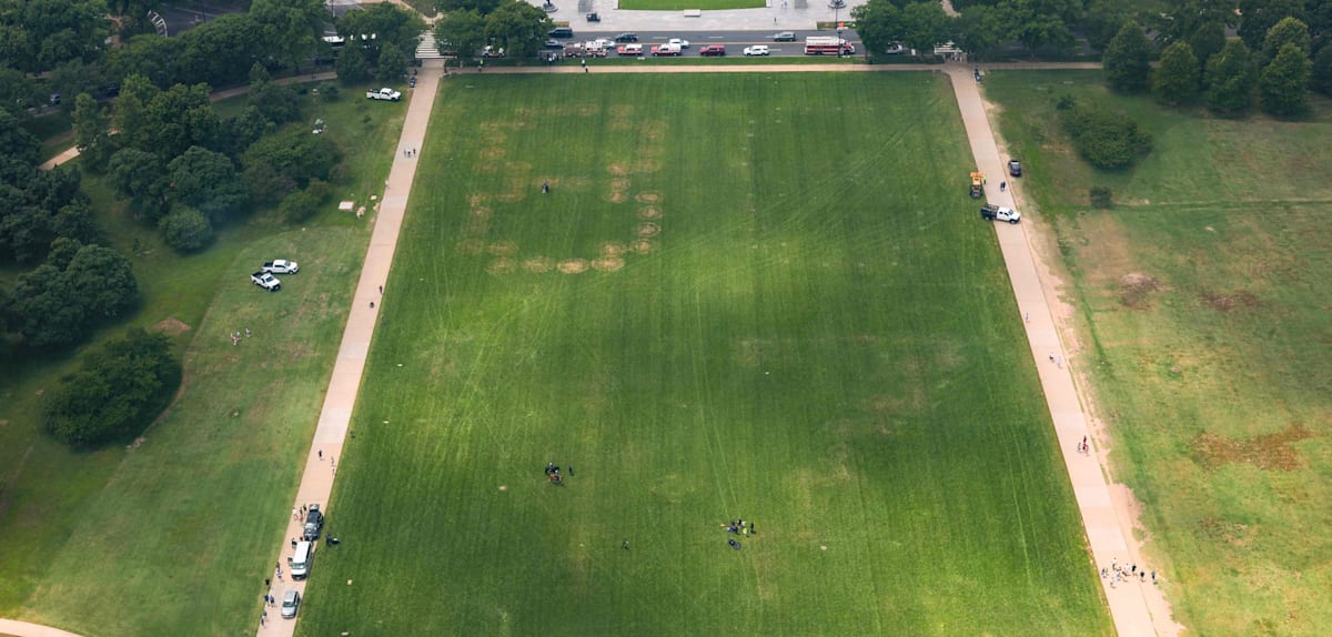 Großer Anti-Trump-Slogan auf National Mall: Polizeiermittlungen wegen Rasenbotschaft