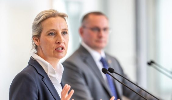 Konflikt bei der AfD in Nordrhein-Westfalen: Bundesvorsitz fordert Abbruch des Parteitags