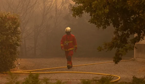 Grünen-Chefin fordert verstärkten Einsatz für Klimaschutz wegen Waldbränden