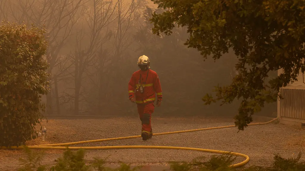 Grünen-Chefin fordert verstärkten Einsatz für Klimaschutz wegen Waldbränden