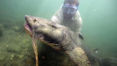 Wasserknappheit in Deutschland: Herausforderungen und Auswirkungen