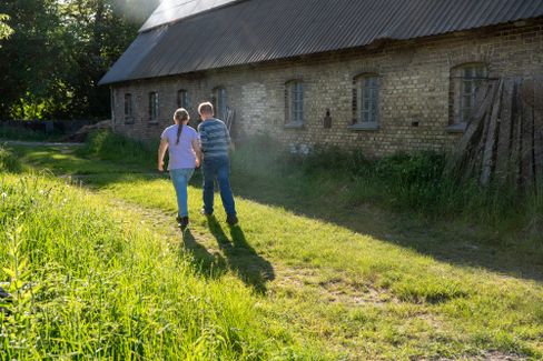 Hühnerzucht auf dem Bauernhof