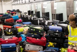 Malaria-Ausbruch am Frankfurter Flughafen durch mitgereiste Mücke