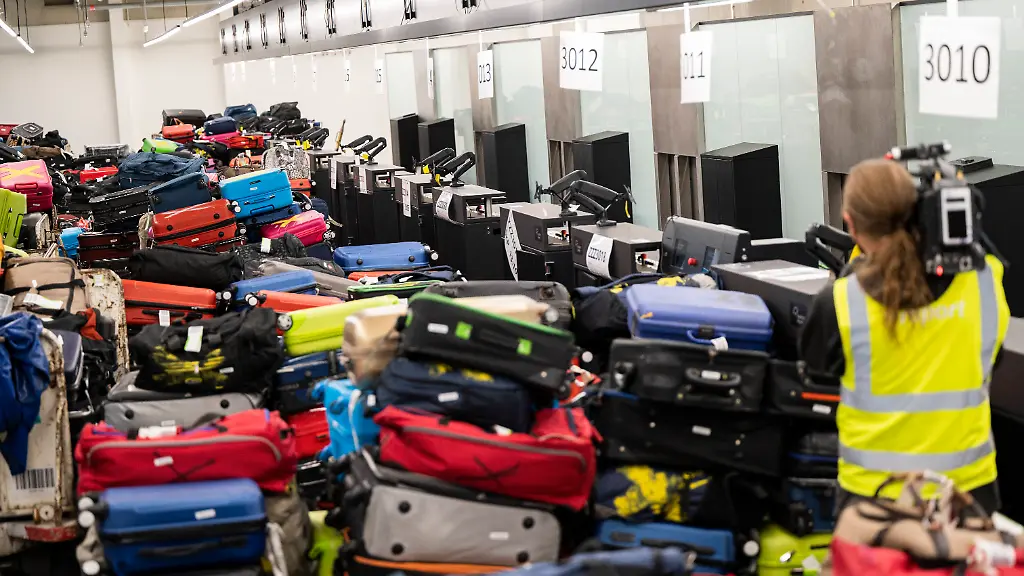 Malaria-Ausbruch am Frankfurter Flughafen durch mitgereiste Mücke