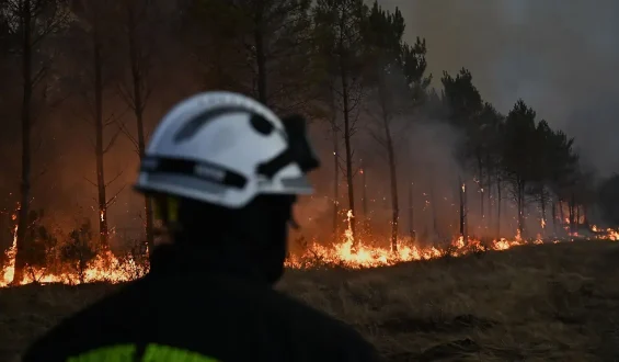 Verheerende Waldbrände in Europa: Eine Übersicht über aktuelle Ereignisse