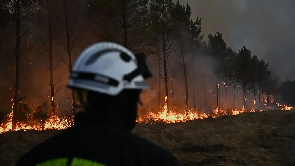Verheerende Waldbrände in Europa: Eine Übersicht über aktuelle Ereignisse