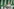 Der Berlin-Trend und das grüne Dilemma: Zwischen Linksbündnis und Rotem Rathaus