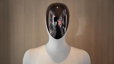 US-Verbot für chinesische Roboter und Wechselrichter zum Schutz der Sicherheit