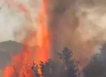 Waldbrände in der Türkei: Großeinsatz der Feuerwehr