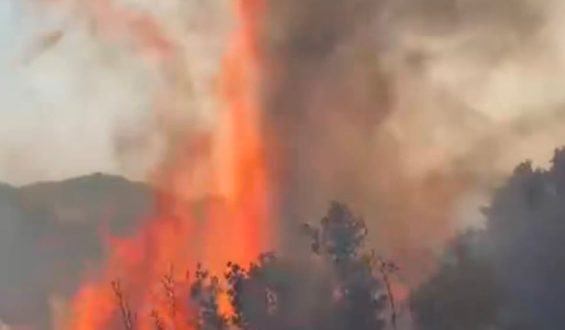 Waldbrände in der Türkei: Großeinsatz der Feuerwehr