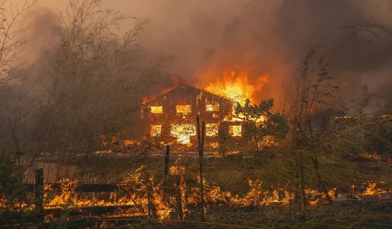 Explosionen von Weltkriegsmunition bei Waldbrand in Le Porge