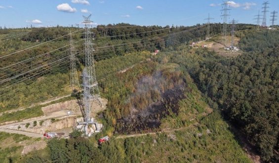 Herausfordernde Waldbrandeinsätze in Iserlohn und Müritz