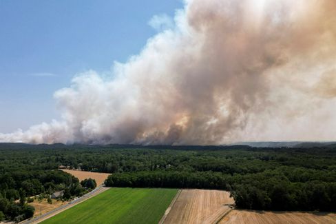 Großbrand im Wald von Fontainebleau: Ein Fünftel zerstört