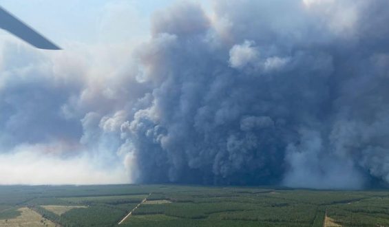 Pyrocumulonimbus-Wolken über französischen Waldbrandgebieten