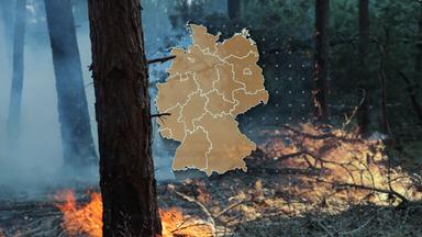 Trockenheit in Deutschland erhöht Waldbrandgefahr