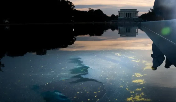Ex-Olympionik wegen Schäden am Reflecting Pool angeklagt