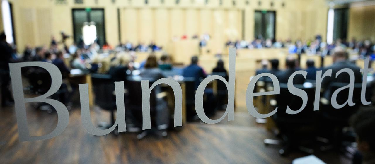 Mögliche AfD-Regierungen und die Rolle des Bundes