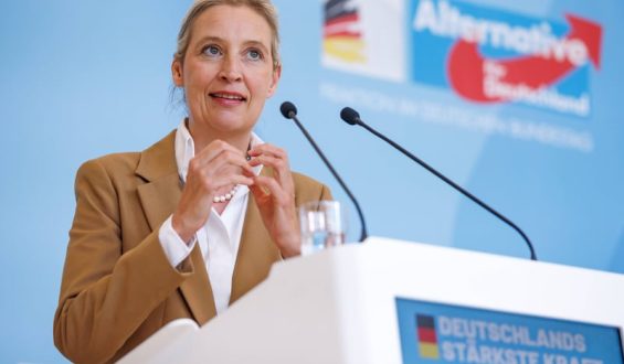 Weidels Herausforderungen in der NRW-AfD
