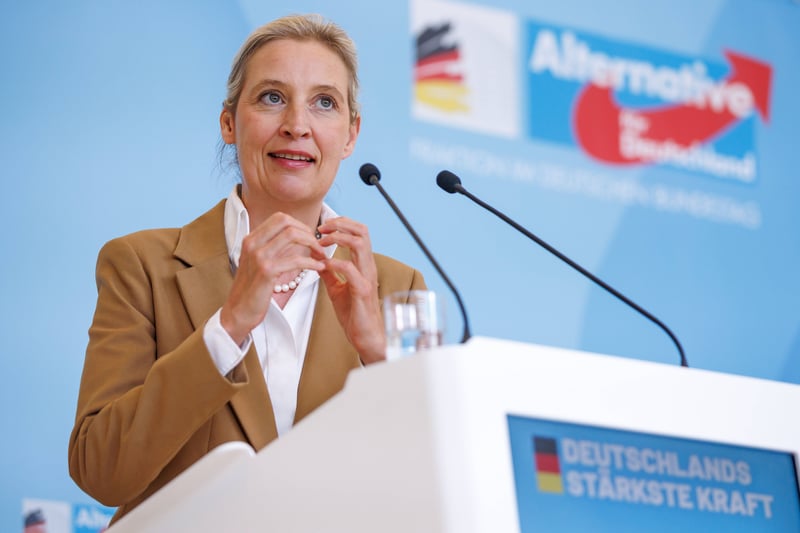 Weidels Herausforderungen in der NRW-AfD