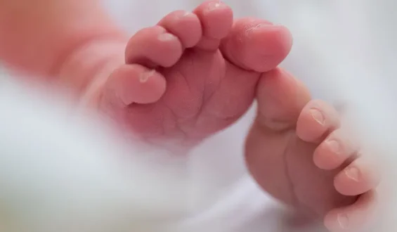 Geburtenrate in Deutschland erreicht 2025 neuen Tiefstand