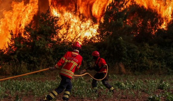 Zunehmende Waldbrände in Europa: Eine ernsthafte Bedrohung