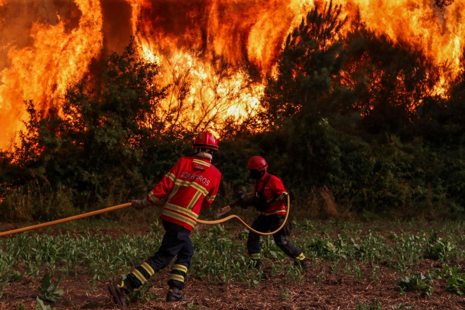 Zunehmende Waldbrände in Europa: Eine ernsthafte Bedrohung