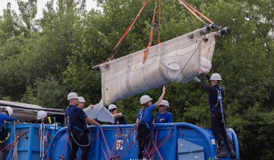 Aufwendige Rettung von Beluga-Walen aus kanadischem Freizeitpark